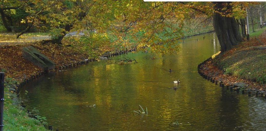 Kamera Jezioro Jamno – Przystań – Koszalin: Odkrywaj Cuda Przyrodnicze i Rekreacyjne